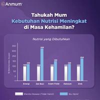 Gambar Anmum Materna Lite Susu Ibu Hamil Dan Rendah Lemak 360 Gr Cokelat dari Lullaby &amp; Co. undefined 1 Tokopedia