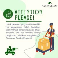 Gambar Naavagreen Lip Matte Cream - Waterproof Lipcream - Pewarna Bibir Tahan Air - 05 True Red dari Naavagreen Skincare undefined 4 Tokopedia