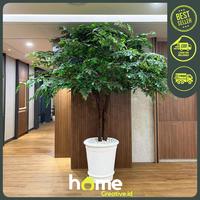 Gambar POHON BERINGIN/POHON HIAS/ARTIFICIAL/BUNGA PLASTIK - STANDAR dari Home creative.id undefined 1 Tokopedia