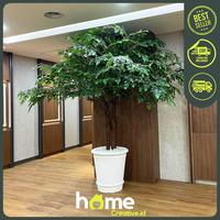 Gambar POHON BERINGIN/POHON HIAS/ARTIFICIAL/BUNGA PLASTIK - STANDAR dari Home creative.id undefined 3 Tokopedia