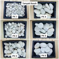 Gambar Batu Putih Kupang (Batu Alam Koral Sikat Hias Tabur Dekorasi Taman) dari Pinter Cipta Grosir Batu Alam undefined 2 Tokopedia