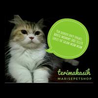 Gambar Rumput timothy hay - makanan kelinci - makanan hamster - snack hamster dari Marise Petshop undefined 4 Tokopedia