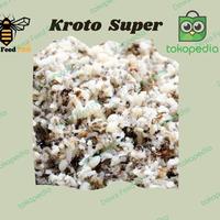 Gambar kroto segar pakan burung kicau (Harga per ons - 1 Kg dari Dewa Feed Pet Store undefined 1 Tokopedia