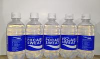 Gambar Pocari Sweat 350Ml 1 Dus #Gratisongkir - Dus dari Kios Uraume undefined 3 Tokopedia