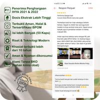 Gambar Obat Sinusitis Rinitis Pilek Menahun Hidung Bau Busuk Bersin Herbal dari Jejamu Herbal Naturindo undefined 3 Tokopedia