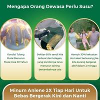 Gambar Anlene Gold 5X Susu Bubuk Dewasa Vanila 3 X 600G - Tulang & Sendi dari Wanela Outlet undefined 2 Tokopedia