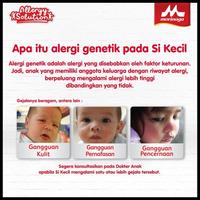 Gambar Stok Baru Bmt Php 400 Gr Terlaris|Best Seller dari hernanhore undefined 1 Tokopedia