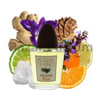 Gambar Parfum Pria Acqua Di Pino by Pino Silvestre EDC for Men Original dari Bazar Parfum undefined 2 Tokopedia