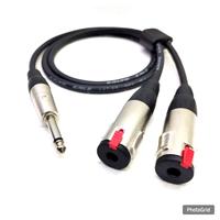 Gambar kabel canare 1-5 meter 1 akai female To 2 akai 6,5 male cabang - 1meter dari NewAudio undefined 1 Tokopedia