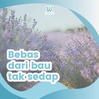 Gambar Anti Rayap Kayu Wiselie 250ML Spray Cairan Pembasmi Pengusir Rayap Tanah Dan Kering Semprotan Obat Racun Penghilang Ratu Rayap Lemari Jendela Pintu Plafon Rumah // Pengawet Pelindung Kayu Dari Laron Serangga Perusak GRATIS ONGKIR - 250ML  dari SPACE SPOTLESS undefined 5 Tokopedia