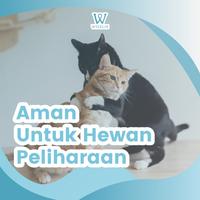 Gambar Anti Rayap Kayu Wiselie 250ML Spray Cairan Pembasmi Pengusir Rayap Tanah Dan Kering Semprotan Obat Racun Penghilang Ratu Rayap Lemari Jendela Pintu Plafon Rumah // Pengawet Pelindung Kayu Dari Laron Serangga Perusak GRATIS ONGKIR - 250ML  dari SPACE SPOTLESS undefined 4 Tokopedia