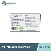 Gambar Yunnan Baiyao - Obat Luka Dalam, Memar, Wasir, Pendarahan, Operasi dari Apotekmandjurofficial undefined 2 Tokopedia