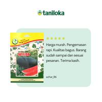 Gambar Benih Pertiwi - Benih Semangka Hibrida F1 Winda (25 Biji) dari TANILOKA JAYARAYA NUSANTARA undefined 2 Tokopedia