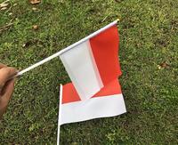 Gambar 10pcs Bendera Tangan Indonesia Bendera Pawai Merah Putih Bendera Tangan Bendera Kain Kecil Merah Putih Hand Flag dari GemilangGoods3 undefined 5 Tokopedia