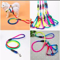 Gambar Pet harness dog n cat tali tuntun anjing kucing warna rainbow pelangi - S dari exotic pet west borneo undefined 1 Tokopedia