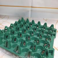 Gambar EGGTRAY PLASTIK HIJAU KECIL ISI 10 PCS/BESAR/TEMPAT TELUR AYAM/KANDANG PETELUR AYAM-besar dari BIGBOSSFARM undefined 1 Tokopedia