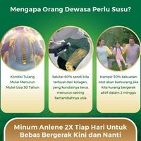 Gambar Terlaris Anlene Gold 5X Susu Bubuk Dewasa Cokelat 2 X 600G - Tulang & Sendi dari Tasty Food &amp; Drink undefined 5 Tokopedia