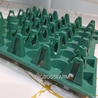 Gambar EGGTRAY PLASTIK HIJAU KECIL ISI 10 PCS/BESAR/TEMPAT TELUR AYAM/KANDANG PETELUR AYAM-besar dari BIGBOSSFARM undefined 3 Tokopedia