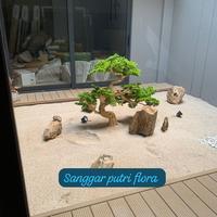 Gambar TAMAN KERING DALAM RUMAH PAKE BONSAI ARTIFICIAL DAN PASIR ZEN GARDEN,BATU FOSIL dari Sanggar Dhira flora undefined 2 Tokopedia