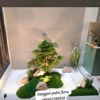 Gambar TAMAN KERING DALAM RUMAH PAKE BONSAI ARTIFICIAL DAN PASIR ZEN GARDEN,BATU FOSIL dari Sanggar Dhira flora undefined 3 Tokopedia
