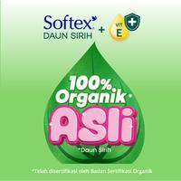 Gambar Softex Daun Sirih + Vitamin E Jumbo Pack 36cm 18s x 3 Pack - Pembalut Daun Sirih Malam dari Softex Indonesia undefined 5 Tokopedia