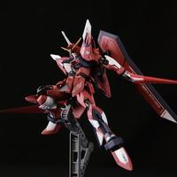 Gambar Daban 244 HG 1/144 Immortal Justice Fighter Model Kit dari Doctoy shop undefined 3 Tokopedia