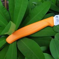 Gambar Victorinox Pisau Pengupas Paring Knife 10 cm Model 6.7706.L119 Orange Handle Original Tajam & Tahan Karat Cocok untuk Chef dan Dapur Keluarga - Hijau dari Hardistore Superpisau undefined 3 Tokopedia