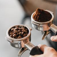 Gambar Kopi Arabika Gayo Aceh Sumatra Arabica Coffee Bean Espresso Biji Bubuk -100% Gayo Black Panther 500gram Robusta White Natural Honey dari Intu coffee undefined 3 Tokopedia
