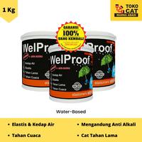 Gambar Cat Pelapis Anti Bocor Welproof 1 Kg - Abu-abu dari Warna Abadi Jemursari undefined 1 Tokopedia