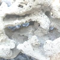 Gambar Batu karang laut batu karang asli batu karang goa besar 40cm aquarium dari G O - C U A N undefined 4 Tokopedia