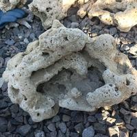 Gambar Batu karang laut batu karang asli batu karang goa besar 40cm aquarium dari G O - C U A N undefined 5 Tokopedia