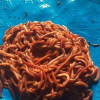 Gambar cacing tanah lumbricus rubellus hidup - 500 dari Nuba Farm undefined 1 Tokopedia