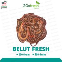 Gambar Belut Fresh - Ikan dan Sayur Sayuran - 250gr dari 2Gofresh undefined 1 Tokopedia