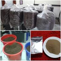 Gambar obat demam typus cacing tanah Lumbricus rubellus dijamin ASLI dari Agro Pasundan undefined 5 Tokopedia
