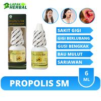 Gambar Obat Gigi Berlubang Gusi Bengkak Sakit Berdarah Ngilu Penghilang Bau Mulut Atasi Dengan Propolis SM Herbal Alami Tanpa Efek Samping dari Lapak Herbal Arifin undefined 1 Tokopedia
