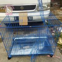 Gambar Kandang Kucing Kandang Anjing SUPER JUMBO XXL HIGH QUALITY 90×60×70 FREE TINGKAT & RODA Kandang Besi Lipat Berkualitas - Hitam, XXL SUPER JUMBO dari tokomajujau undefined 2 Tokopedia