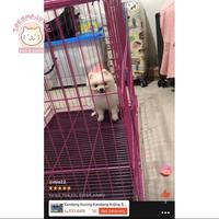 Gambar Kandang Kucing Kandang Anjing SUPER JUMBO XXL HIGH QUALITY 90×60×70 FREE TINGKAT & RODA Kandang Besi Lipat Berkualitas - Hitam, XXL SUPER JUMBO dari tokomajujau undefined 1 Tokopedia