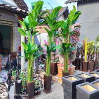 Gambar POHON PISANG DENGAN POT JUMBO TINGGI 2 METER //. BUNGA HIAS PISANG ARTIFICIAL PLASTIK KAIN IMPORT TIRUAN DEKORASI SUDUT RUANGAN bx12 dari Pudelisius undefined 4 Tokopedia