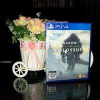 Gambar NEW BD Kaset PS4 Shadow of The Colossus Game CD PS 4 Bekas Second Mulus dari TENAJASTORE undefined 1 Tokopedia