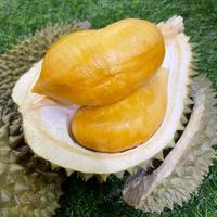 Gambar durian import blackthorn BERGARANSI/ durian black thorn premium 1 buah dari rumindonesia undefined 1 Tokopedia