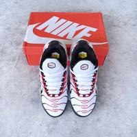 Gambar perfectkicks_bdg Nike Air Max Plus TN Pure Platinum - Pure Platinum, 39 dari perfectkicks. undefined 5 Tokopedia