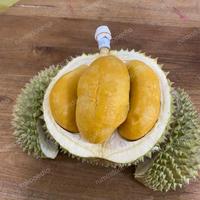 Gambar durian import blackthorn BERGARANSI/ durian black thorn premium 1 buah dari rumindonesia undefined 2 Tokopedia