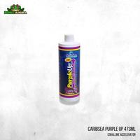 Gambar Caribsea purple up 473ml - Coralline Accelerator dari Dunia Anura 99 undefined 1 Tokopedia