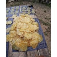 Gambar Termurah Emping Jengkol Asli | Kerupuk Jengkol Mentah Super 1 KG Asli dari Riccardon undefined 5 Tokopedia