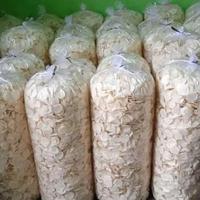 Gambar Opak Koin Khas Wonosobo Jawa Tengah dari Riccardon undefined 1 Tokopedia