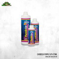 Gambar Caribsea purple up 473ml - Coralline Accelerator dari Dunia Anura 99 undefined 2 Tokopedia