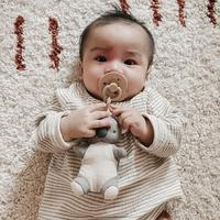 Gambar itzy ritzy | bitzy pal natural rubber pacifier & lovey - dino dari inransi undefined 1 Tokopedia