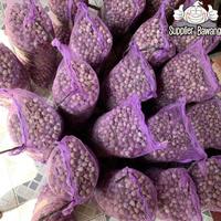 Gambar Bawang Putih Tunggal/Bawang Lanang Tunggal Import Jumbo 1KG - Uk.2,5cm(J) dari EYKAYUN SHOPES undefined 5 Tokopedia