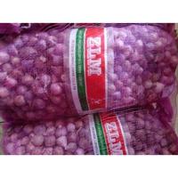 Gambar Bawang Putih Tunggal/Bawang Lanang Tunggal Import Jumbo 1KG - Uk.2,5cm(J) dari EYKAYUN SHOPES undefined 4 Tokopedia