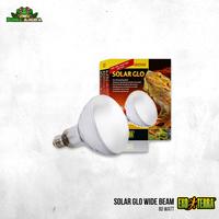Gambar Lampu reptil - Exo Terra Solar Glo Wide Beam - 80 Watt dari Dunia Anura 99 undefined 1 Tokopedia